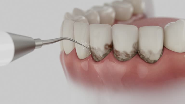Reliable Dental contractor in Gautier, MS by Dentist Open Now